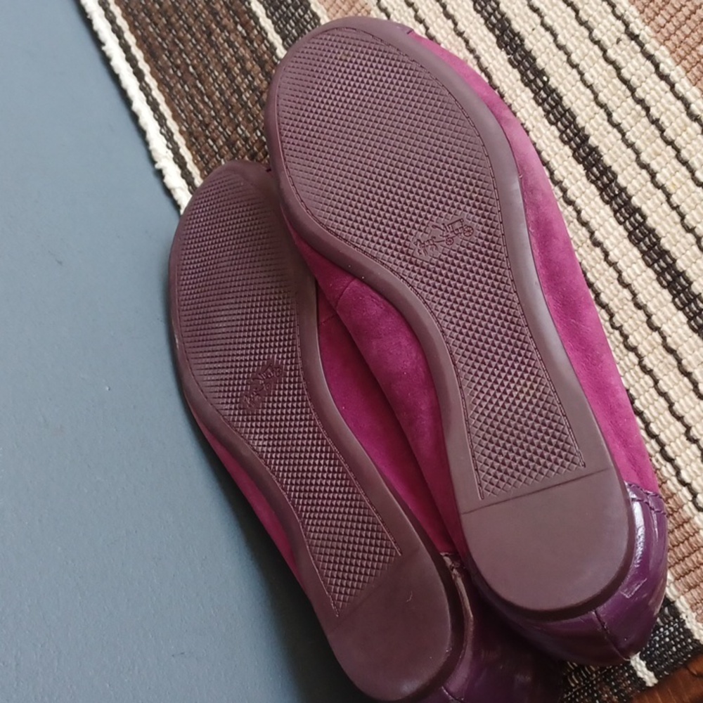 Coach flats - Picture 11 of 16
